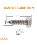 3/8 Inch Hex Head Lag Screws 20 Pack Premium Heavy Duty 304 Stainless Steel outdoor construction bolts size 3/8 x 1 inch with measurements.