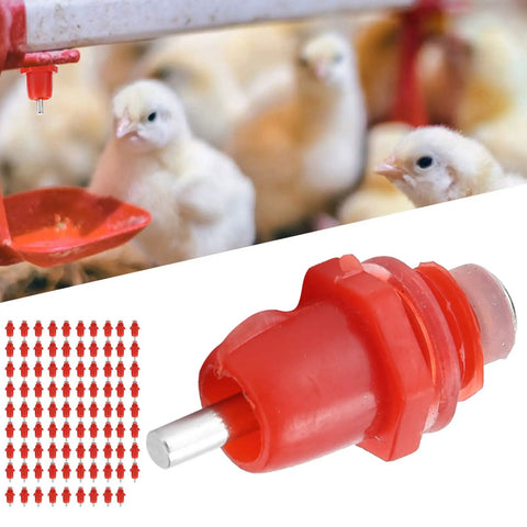 Real Deal 100 Pack Stainless Steel Poultry Water Nipplers With Heavy Duty Screw Mount Base For Backyard Chickens And Farm Flock Smooth Operation 360 Splash Free Drinking Auto Fill Setup close-up of poultry nippler with chicks in background.