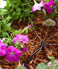 Adjustable Irrigation Drippers 360 Degree Water Flow Drip Emitters for 4 7mm Tube PE Pipe Ideal for Flower Beds