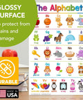 Alphabet poster with colorful letters and images on glossy cardstock, showcasing durability features, made in USA.