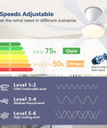 Infographic of 36 Inch Low Profile Ceiling Fan with lights, showing 6 adjustable speeds, silent motor, and energy efficiency.