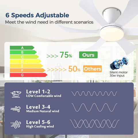 Infographic of 36 Inch Low Profile Ceiling Fan with lights, showing 6 adjustable speeds, silent motor, and energy efficiency.
