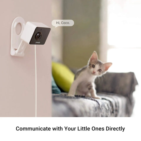 1080p Indoor Security Camera With AI Motion Detection And 2 Way Audio mounted on wall near curious kitten