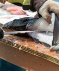 Filleting fish with knife from 4 Piece Pistol Grip Fishing Tool Kit With 45 Degree Pliers Fillet Knife Gripper Line Snips