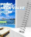Spring check valve with stainless steel coil spring on a white block against a poolside backdrop.