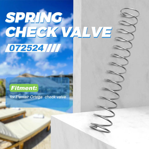 Spring check valve with stainless steel coil spring on a white block against a poolside backdrop.