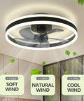 Modern Dimmable Ceiling Fan With Light And Remote Control, MuteLED Quiet, 6 Speeds, 60W Black Ceiling Fan installed indoors.