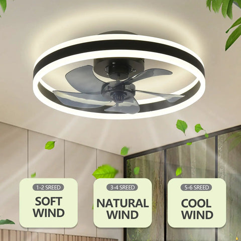 Modern Dimmable Ceiling Fan With Light And Remote Control, MuteLED Quiet, 6 Speeds, 60W Black Ceiling Fan installed indoors.