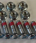 OEM flange bolts and nuts from 250pc KDX Two Stroke Bolt Kit for Dirt Bike Maintenance and Restoration