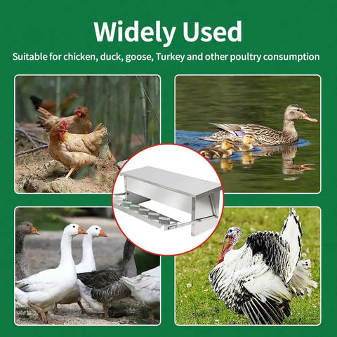 Automatic Treadle Chicken Feeder For Smart Backyard Flocks 11 Pound Capacity Rodent Block Poultry Feeding Trough with various birds.