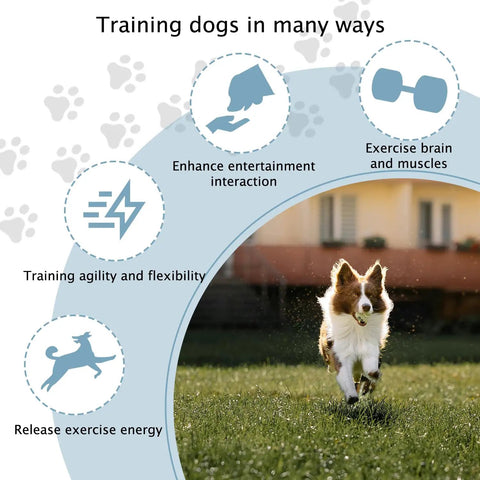 Dog Agility Hurdle Training Set With Adjustable Cones And Jumps, Backyard Obstacle Course Kit For At-Home Practice, training benefits