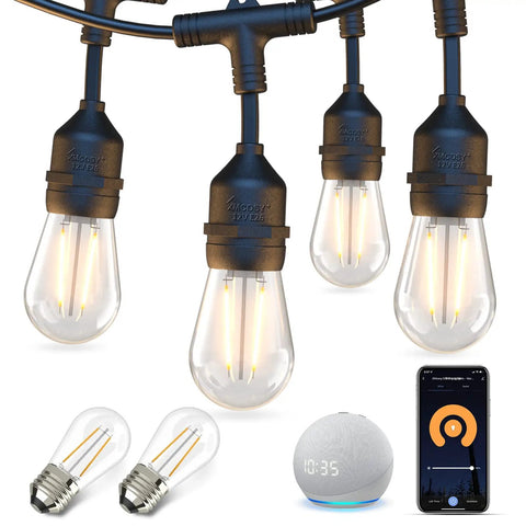 Outdoor String Lights 72.5 Ft With 22 Edison Shatterproof Bulbs, App And WiFi Dimmable Control, Alexa Compatible, IP65 Waterproof LED Patio Lights For All Weather