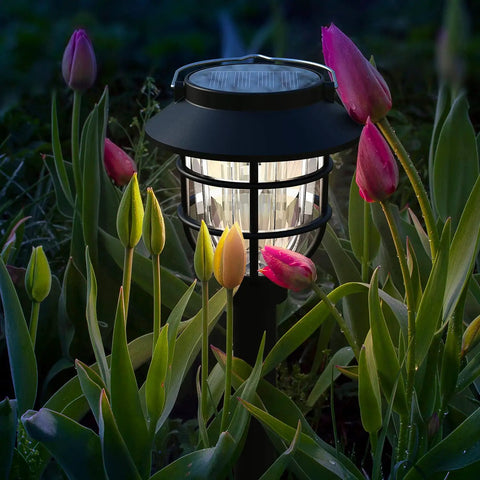Bright Solar Pathway Lights Outdoor 10 Pack With Warm White LED Auto On Off Waterproof Garden Path Lights illuminated among tulips