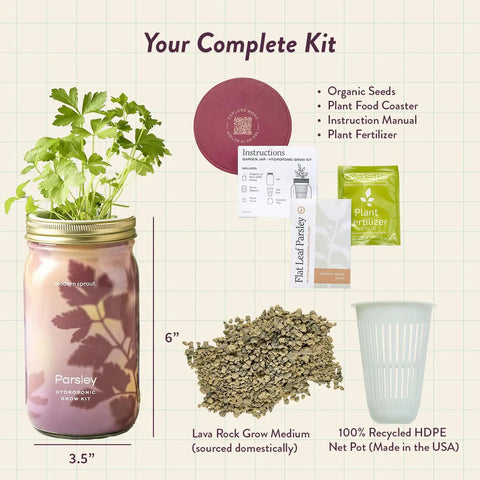 Dope Mason Garden Jar Self Watering Hydroponics Kit With Organic Herb Seeds For Indoor Parsley Garden Jar Planter Seed Starter