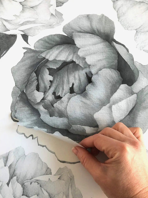 Hand peeling Easy Peel And Stick Black And White Peony Watercolor Wall Decals Set Of 8 for chic decor application.