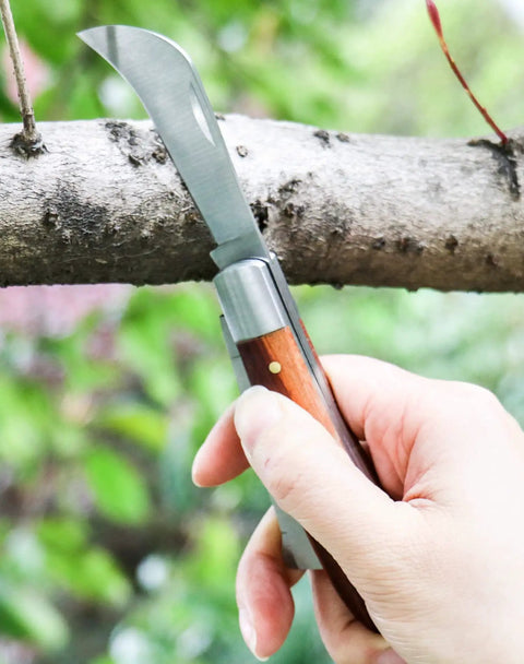 Hand holding Gardening Grafting Cutter Kit With Two Grafting Tapes For Plant Budding And Fruit Tree Pruning Pro Grade Graft Tool Stainless Steel Blade Wooden Handle Gardening Tool For Home Garden against tree branch