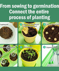 Steps of Kids Plant Growing Kit With Indoor Greenhouse And Hydroponic System, including soaking soil and plant growth stages.
