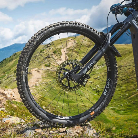 E-bike with Disc Brake Rotor 203 Mm MDR P With Dovetail Interlink Technology on mountain trail
