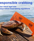 Two Pack Crab Gauge Tool Waterproof Plastic Measuring Device For Dungeness Blue Crab Rock Crab And Lobster Perfect For Fishing Crabbing And Outdoor Use Easy To Read beside crab on dock
