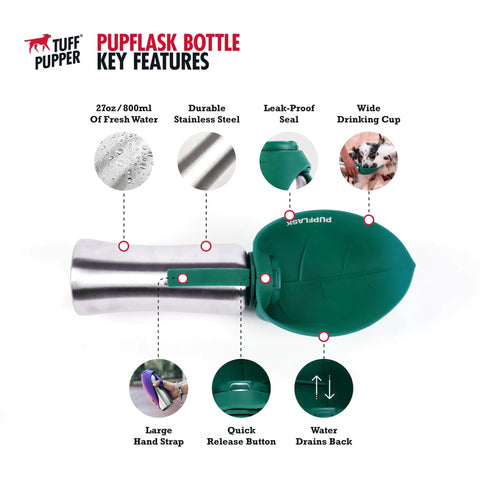 Big Dog Water Bottle Travel Dispenser 27 oz stainless steel with green leak-proof cup and detailed features labeled