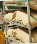 Stainless Steel Grain Sampler Tool With Handy Handle Compact Probe in use sampling grains from burlap sacks on metal shelving