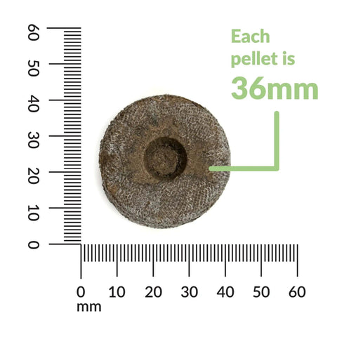 Close-up of a 36mm peat pellet with ruler for Indoor Seed Starting Kit 2 Pack That Makes Seed Germination A Breeze With 36 Cell Tray
