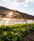 90 Percent Shade Cloth With Grommets For Pergola Cover over vegetable garden, heavy duty HDPE mesh tarp, letting sunlight filter through.