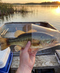Two Pack Crappie Fish Measurers With 12 Inch Capacity Quick And Easy Length Checker Boards For Crappie Fishing in use on boat