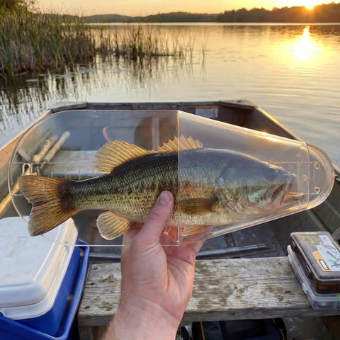 Two Pack Crappie Fish Measurers With 12 Inch Capacity Quick And Easy Length Checker Boards For Crappie Fishing in use on boat
