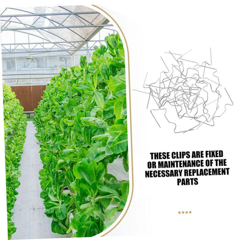 100 Pack Greenhouse Glass W Type Clamps Stainless Steel Fixing Clips For Holding Glass Panels Lightweight Yet Sturdy No Fuss Easy Install Replacement Kit For Greenhouse Repair And Glass Pane Security