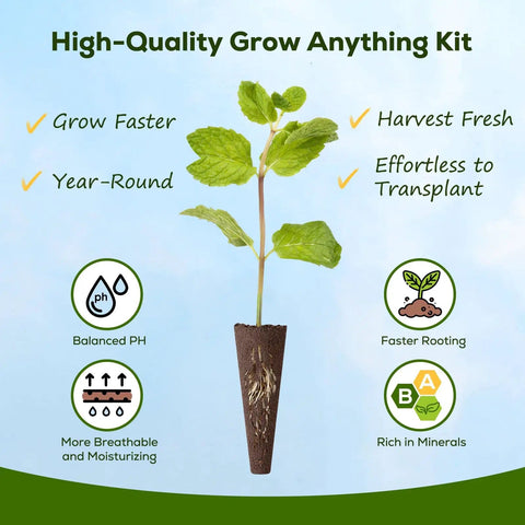 12 Pod Gourmet Herb Seed Kit For Indoor Hydroponics Easy To Grow Universal Seed Starter Pods With Basil Parsley Thyme Mint Cilantro Dill Oregano High Germination Fast Indoor Garden For Fresh Kitchen Herbs illustration