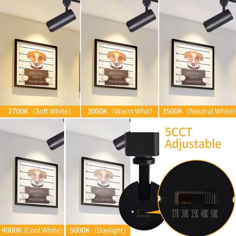 Five Color LED Track Lighting Heads Dimmable 12W Adjustable Beam 15 To 60 Degree Range on wall art in 5 color temps.