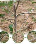 Tree Branch Spreader Tool For Fruit Trees 3.9 Inch M Shape Bend Shaping Reusable Portable Farm Tool Easy To Use Branch Puller in use