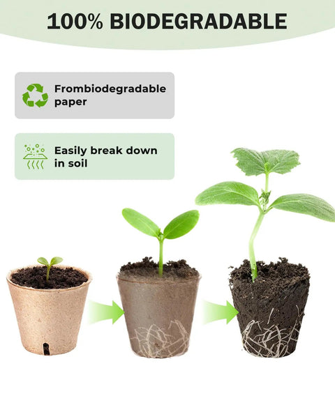 Seed Starter Pots Set With 60 Pcs In 3.15 And 4 Inch Sizes, Drainage Holes For Easy Transplanting, Compostable Nursery Pots