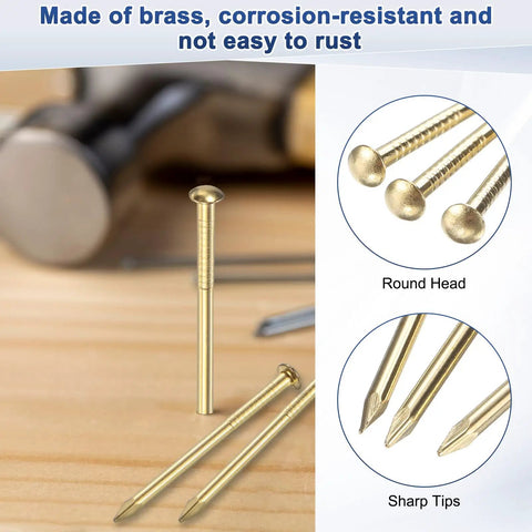 100 Pack Tiny Brass Nails 1.2 Mm X 10 Mm Round Head Precision Hardware with round heads and sharp tips on a wooden surface.