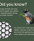 Heavy Duty Plastic Chicken Wire Fence For Pet Protection 15.7 Inches By 10 Feet Black HDPE Mesh Chew Resistant Outdoor Garden Barrier
