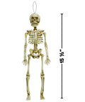 Spooky White Plastic Hanging Skeleton Fifteen Point Five Inch For Halloween Decor Realistic Decayed Bones And Creepy Grin