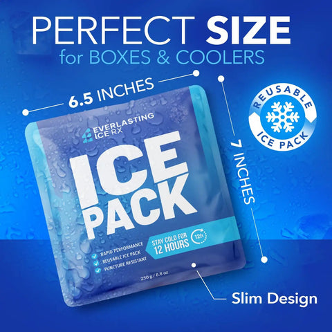Performance Reusable Ice Packs For Lunch Boxes Lunch Bags And Coolers Four Pack Keeps Your Food Cold For Up To Twelve Hours