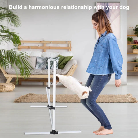 Dog Agility Jump Training Kit With Four Adjustable Hurdles And Storage Bag in indoor use with woman and dog jumping