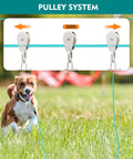 Heavy Duty 200 Foot Dog Runner With 10 Foot Tie Out Cable For Large Dogs Up To 250 Lbs Ideal For Yard Park And Camping Use Ice Blue Trolley System showing pulley system securing a running dog