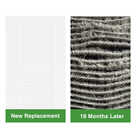 True HEPA Replacement Filters For HoMedics AF-10 AP-15 AF-10FL Air Purifiers Pack Of 2, new filter vs. used filter after 18 months
