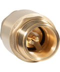 Brass one-way check valve, front view; 1 in NPT male inlet, 1 in FNPT outlet.