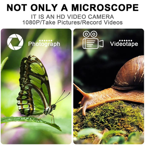 4K Wireless Digital Microscope Handheld HD USB Inspection Camera Endoscope With Stand, 50x To 1000x Magnification, Compatible With iPhone iPad Android Phone Tablet Windows Mac, Live View, Zoom, And Precise Micro Inspections. Butterfly and snail sample images
