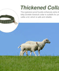 Adjustable Green Canvas Livestock Collar 3 Pack With Secure Locking Buckles For Cattle Calves Horses Sheep Padded on sheep in a pasture.