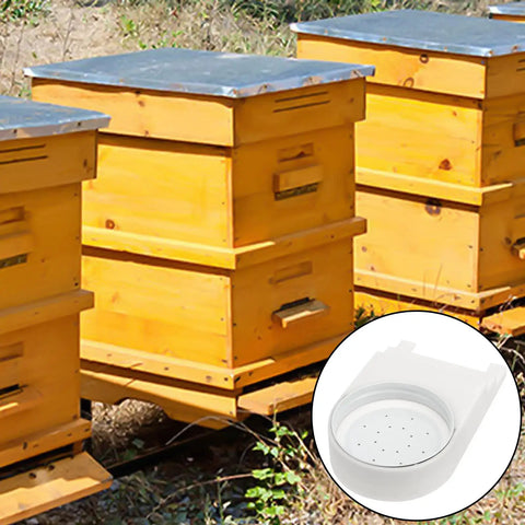 Beehives with 16 Pack Bee Entrance Feeder For Beehives Plastic Water Tray For Small Glass Jars Easy Install Beekeeping Gear inset