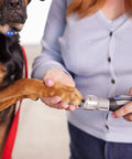 Person using Pet Nail Guard Attachment With 45 Degree Paw Guide For Dog And Cat Nail Trimming No Mess Dust Capture Fur Guard