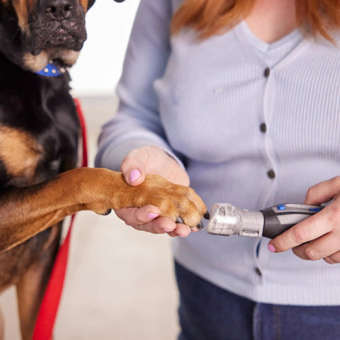 Person using Pet Nail Guard Attachment With 45 Degree Paw Guide For Dog And Cat Nail Trimming No Mess Dust Capture Fur Guard