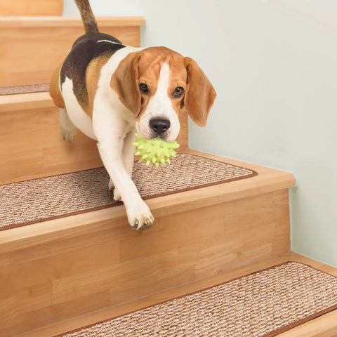 Dog playing on stairs with Set Of 15 Skid Resistant Carpet Stair Treads Praline Brown 8 Inch By 30 Inch Non Slip Step Covers