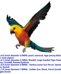 Lightweight Aluminum Alloy Bird Leg Rings With Mixed Colors 50 Pack For Tagging Pigeons Parrots Doves And Hibiscus Birds, shown on a parrot