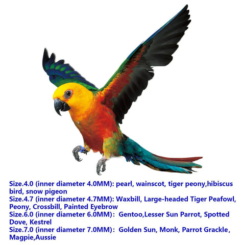 Lightweight Aluminum Alloy Bird Leg Rings With Mixed Colors 50 Pack For Tagging Pigeons Parrots Doves And Hibiscus Birds, shown on a parrot